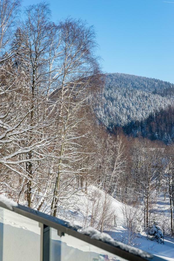 Apartament Skrzyczne シュチルク エクステリア 写真
