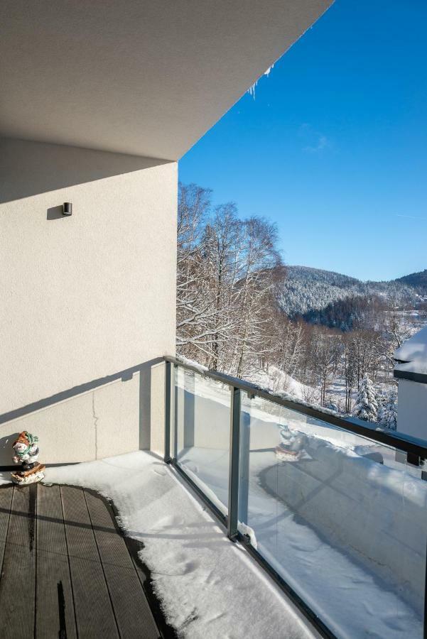 Apartament Skrzyczne シュチルク エクステリア 写真